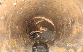 Damaged Sewer Pipes